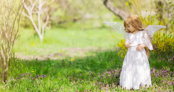 Три желания