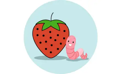 Домик из клубнички