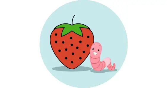 Домик из клубнички