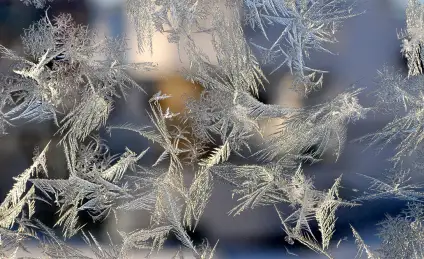 Мороз, Зима, любовь и дружба