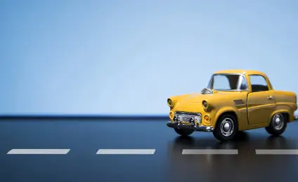 Брум и Бибишка на гонке