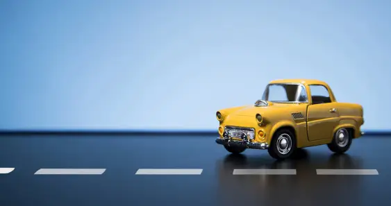 Брум и Бибишка на гонке