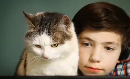 Неожиданный подарок