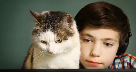 Неожиданный подарок