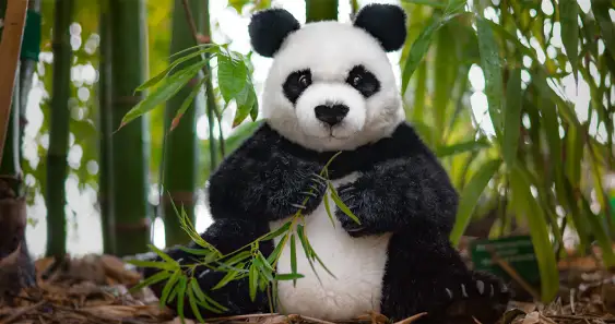 Сказка о непослушной Маше