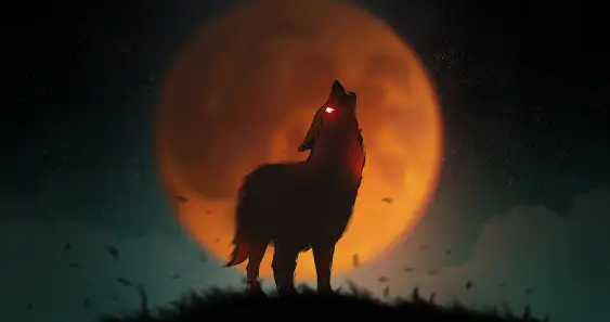 Почему волки воют на Луну?