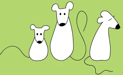 Добро всегда возвращается добром