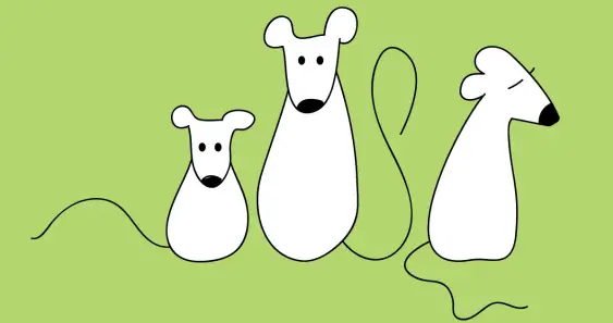 Добро всегда возвращается добром