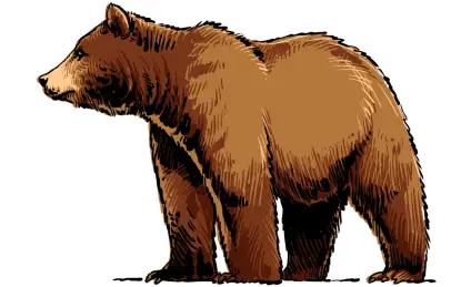 Выбирай, не выбирай ...