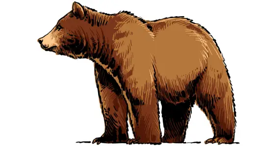 Выбирай, не выбирай ...