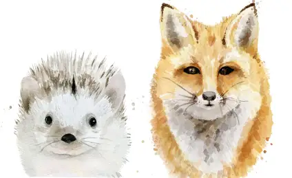 Как Лиса и Ёжик соревновались