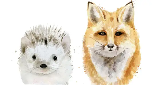 Как Лиса и Ёжик соревновались