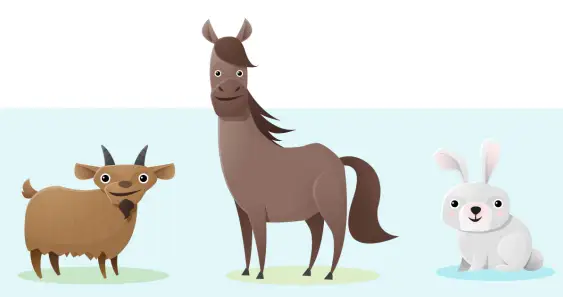 Как зайчик, жеребец и козочка спорили