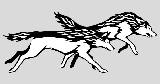 Серобок и Буробок