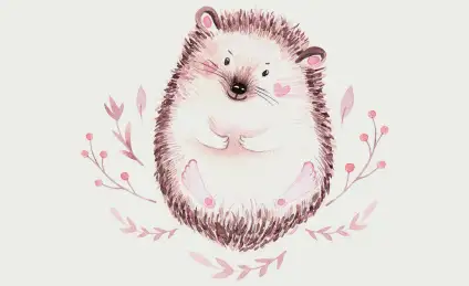 Подарок для Ежика