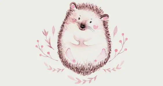 Подарок для Ежика