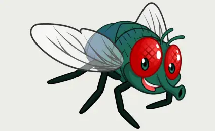 Муха-Показуха