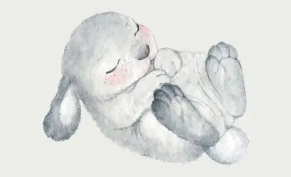 Любопытный Зайчик