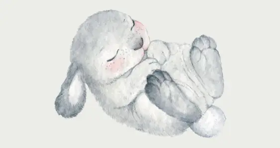 Любопытный Зайчик