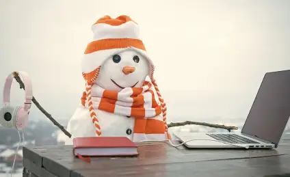 Директор предприятия «Морозко»