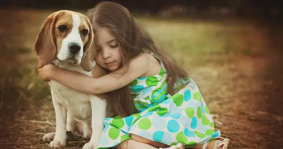 Волшебная сила объятий