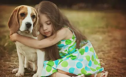 Волшебная сила объятий