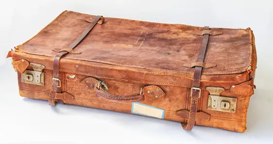 Тайна чудотворного зелья из чемодана