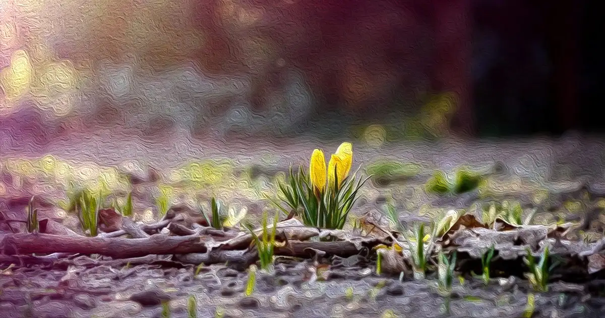 Весна — природа просыпается!