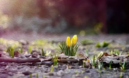 Весна — природа просыпается!