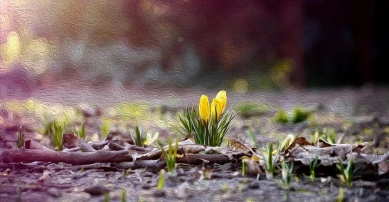 Весна — природа просыпается!