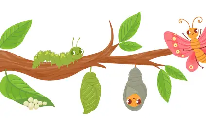 Серая бабочка