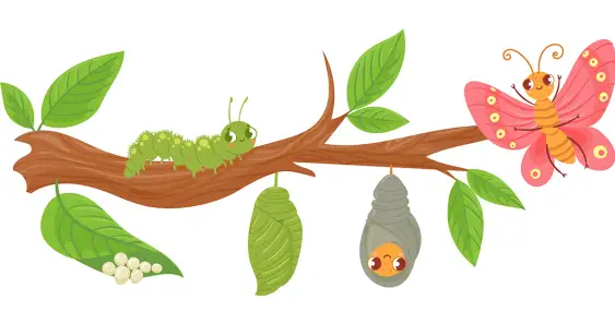 Серая бабочка