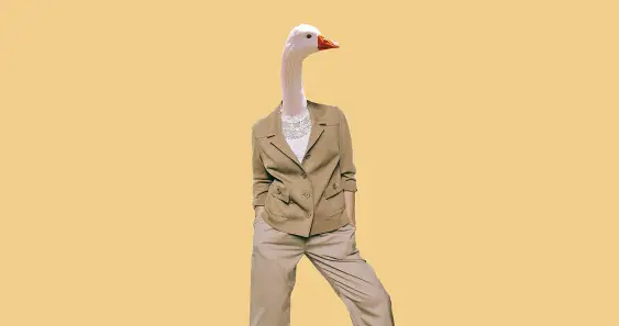 Как заяц гусей ловил