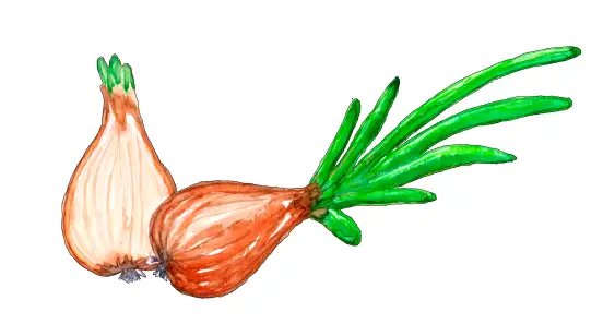 Как в огороде бабы Сони спас овощи малыш Луконя