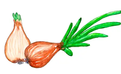 Как в огороде бабы Сони спас овощи малыш Луконя