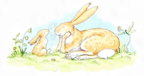 Сказка про непослушного зайчонка и лесное эхо