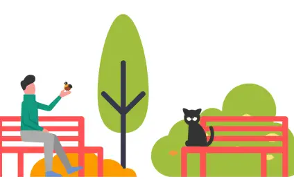 Кот-учитель