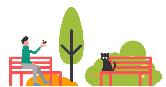 Кот-учитель