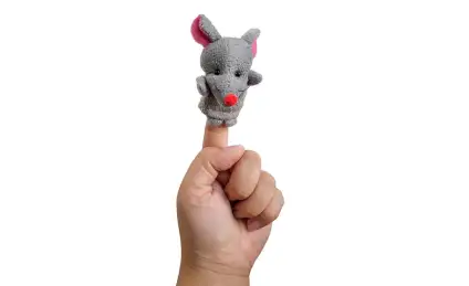 Сухарик–путешественник