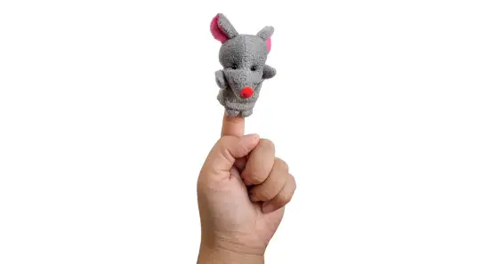 Сухарик–путешественник