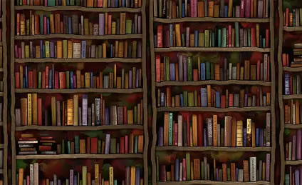 Заклинание волшебного книжного шкафа