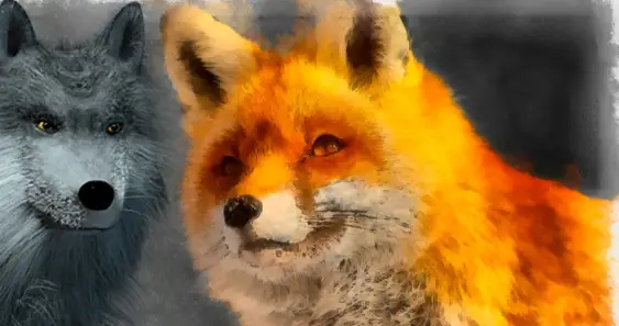 Как Волк Лису воспитывал