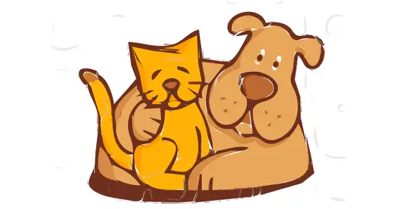 Пес и кот — лучшие друзья