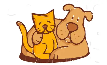 Пес и кот — лучшие друзья