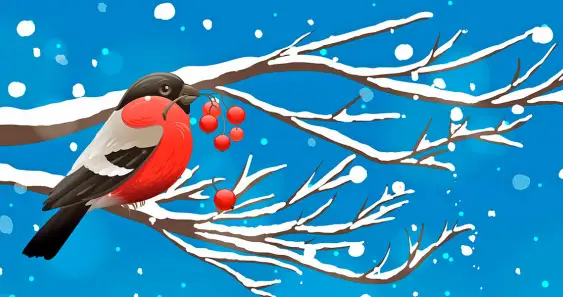 Зимний день