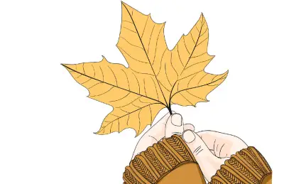 Осенний лист