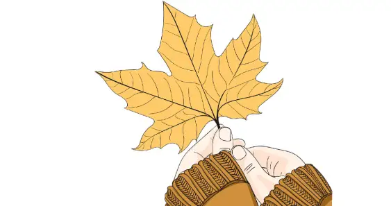 Осенний лист