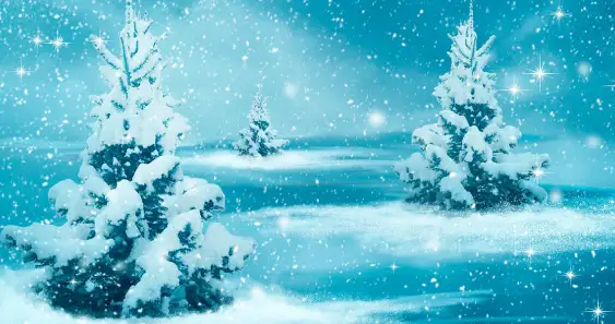 Как медведь и зайчик Новый год встречали