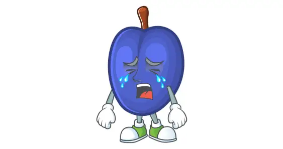 Плачущая слива