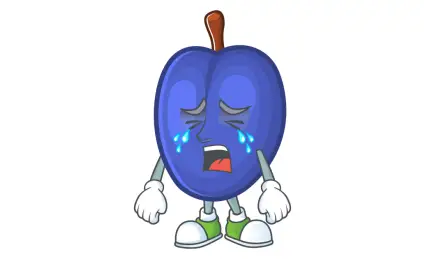 Плачущая слива